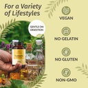 HERBAMAMA Curcumin Turmeric Capsules - 1500mg Curcuma Longa and Black Pepper Extract for Uric Acid & Digestive Support - Vegan, Non-GMO Turmeric Antioxidant Supplement, 250 Caps 6