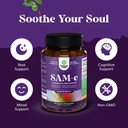 Bundle of Pure SAM-E Nootropic Brain Supplement and Organic Irish Sea Moss Capsules -Immune Support and Mood Support Supplement - Sea Moss and Bladderwrack Capsules with Burdock Root Superfood Blend 5