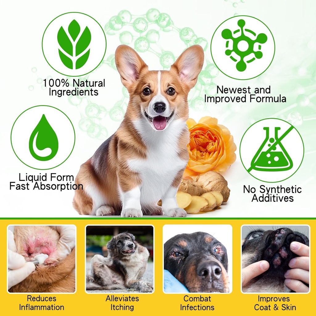 Natural Yeast Infection Treatment for Dogs, Dog Ear Infection Treatment, Dog Allergy Relief, Helps to Support Itch Relief, Inflammation Relief & More, Ear Infection Treatment for Dogs - 2 fl oz 6