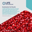 Life Extension Endothelial Defense Pomegranate Plus – Pomegranate Seed, Flower And Fruit Extract Formula Supplement for Heart and Endothelial Health – Gluten-Free, Non-GMO – 60 Softgels 6