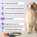 Dog Multivitamin,15 in 1 Dog Multivitamin Liquid Drops Supplements, Dog Vitamins for Heart Health, Bones, Joint, Skin & Coat, Bladder, Immune System Support 60ml 3