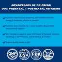 Dog Prenatal Vitamins. The Only 2in1 Prenatal & Postnatal Vitamins for Dogs with Folic Acid, Omega 3, Probiotics, Choline & Inositol, Key for Mother & Puppies, 90 Tablets 6