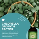 HealthForce SuperFoods Chlorella Manna - Powder - 350 Grams 6