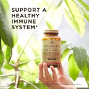 Solgar Vitamin D3 (Cholecalciferol) 25 MCG (1000 IU), 250 Softgels - Helps Maintain Healthy Bones & Teeth - Immune System Support - Non-GMO, Gluten Free, Dairy Free - 250 Servings 6