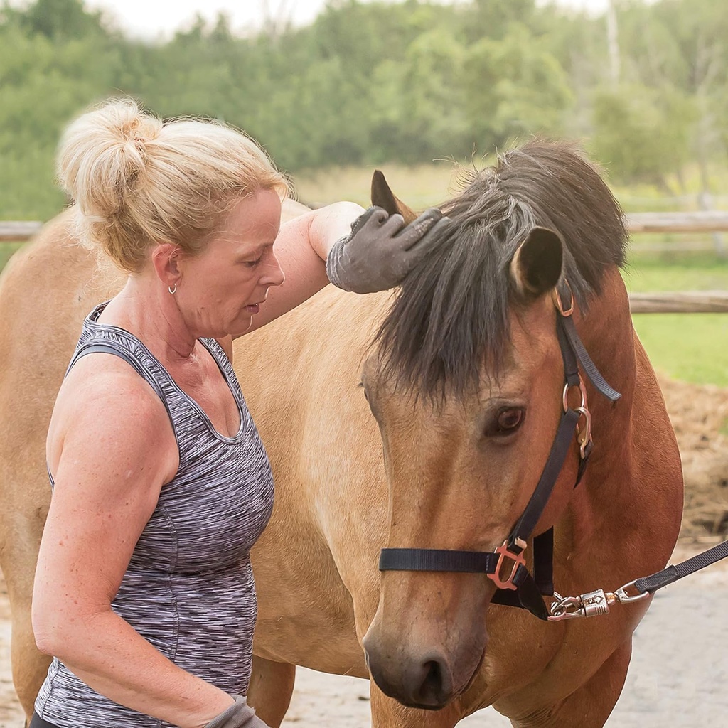 Pure Lab Vitamins L-Theanine 250mg - 60 Vegi-Caps Made in Canada 5
