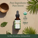 LiveWise Naturals Vitamin D3 with K2 Liquid Drops, All Natural, Non-GMO, USA Made, 1208 IU Vitamin D3 & 25 mcg K2, Supports Bone Health and Energy Levels, Infused with Peppermint, Olive, and MCT Oil 4