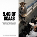 Levels Grass Fed Whey Protein Powder, No Artificials, 24G of Protein, Pure Chocolate, 2LB 6