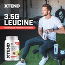 Xtend XTEND Original BCAA Powder 7g BCAA and 2.5g L-Glutamine, Sugar Free Post Workout Muscle Recovery Drink with Amino Acids for Men & Women, 90 Servings 5
