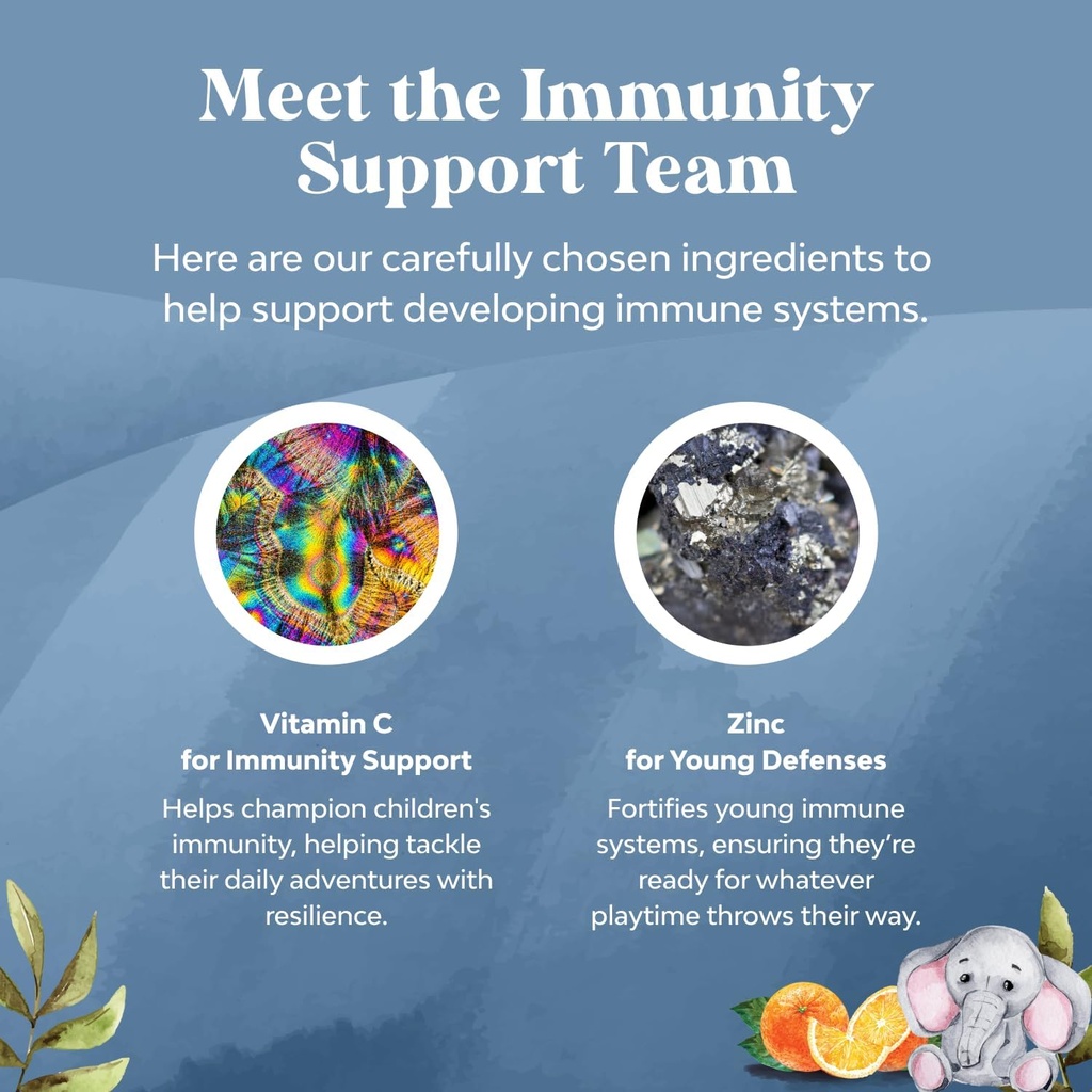 Kids Immunity Support Gummies - Delicious Vitamin C with Zinc and Echinacea Immune Booster Gummies for Kids - Vegan Gluten Free and Gelatin Free Chewable Gummy Vitamin Supplement for Children 6