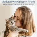 Rx Vitamins Liquid Immuno Dog and Cat Immune Support - L-Lysine for Cats - Reishi Mushroom Supplement for Dogs - Feline & Canine Immune System Support - Bacon Flavor - 4 oz 6