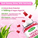 2 Pack Omega-3 Gummies Potent Algae Omega Source, Boost Brain, Eye & Immune Function, with DHA and EPA Vegan & Sugar Free, Orange Flavor, 120 Count 3