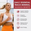 Sugar Free Zinc Gummies 2 Pack + Mens Multivitamins Gummies 1 Pack 5