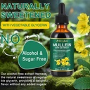 Mullein Drops for Lungs,Mullein Leaf Extract for Lungs,Natural Cleanse,Mullein Leaf Liquid Extract Supplement,Vegetarian Healthy Lifestyle,2 FL OZ 6