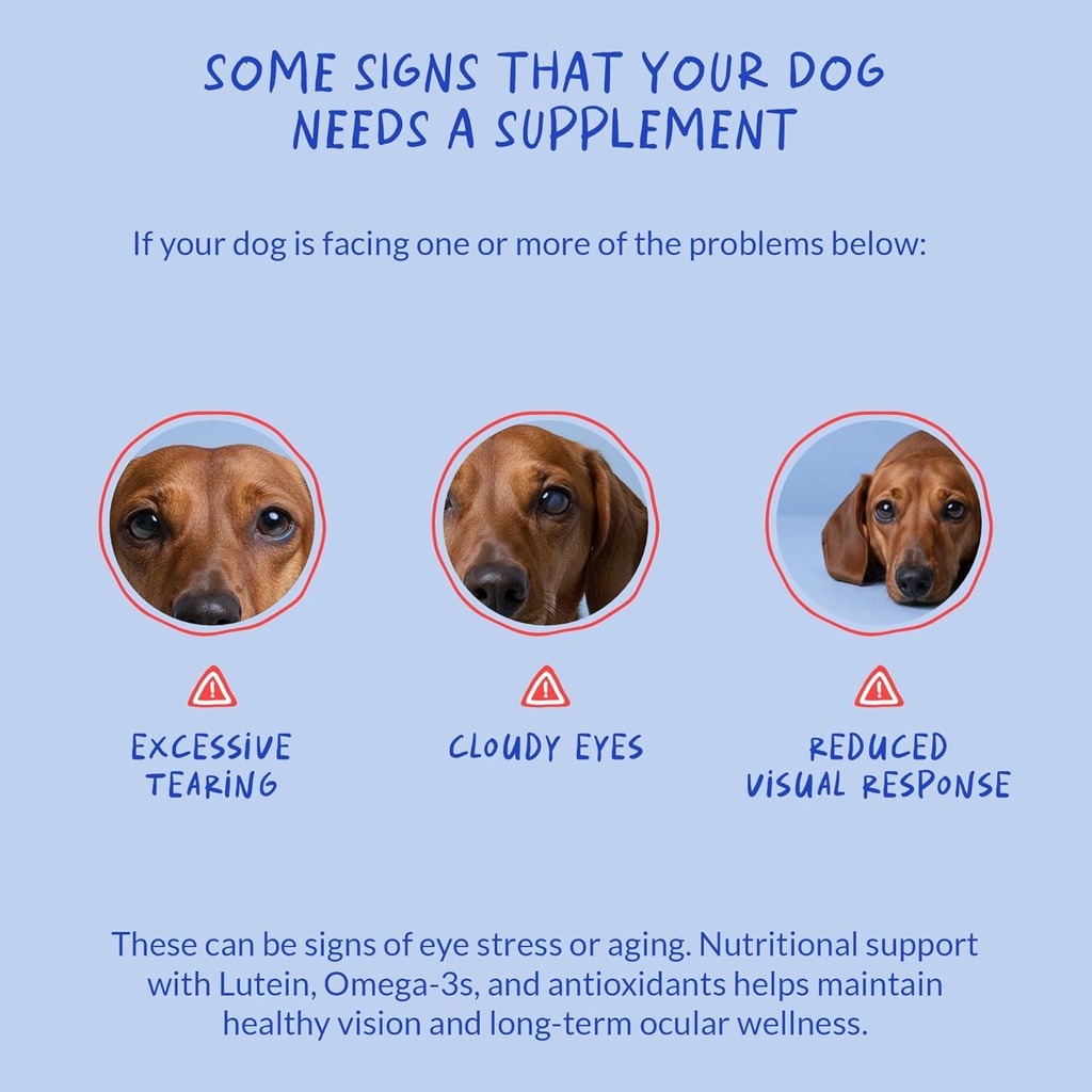 Eye Support for Dogs - 90 Soft Chews - Dog Supplements for Vision, Eye Vitamins for Dogs, with Cod Liver Oil Antioxidant, Dog Omega Supplement, Omega 3 EPA and DHA Fatty Acids. 6