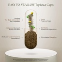 Dr Clark Superblend Wormwood Capsules - Vegetarian 330 mg, 100 Capsules - Wormwood Herb Without Artificial Preservatives, Wormwood Combination with Quassia 5