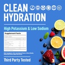 Keppi Electrolytes Powder Packets Assorted Flavors 30 Servings – No Sugar Hydration Supplement with Potassium, Magnesium, Sodium – Keto, Vegan, Fasting-Friendly, Zero Calorie Hydration Packets 4