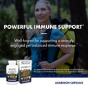 Host Defense Agarikon Capsules - Immune System Support Supplement - Mushroom Supplement to Aid Immune Functions & Cell Strength - Herbal Dietary Supplement - 120 Capsules (120 Servings)* 5