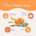 Real Mushrooms RealBoost Capsules – Cordyceps Mushroom, Panax Ginseng & Guayusa Extract – for Overall Wellness & Energy Support – Vegan, Non-GMO, No Fillers – 60 Count Mushroom Supplement Blend 6