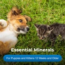 PetAg Calcium Phosphorus Tablets - 50 Tablets - Daily-Use, Chewable Supplement for Dogs & Cats 12 Weeks and Older - Fortified with Vitamin D 4