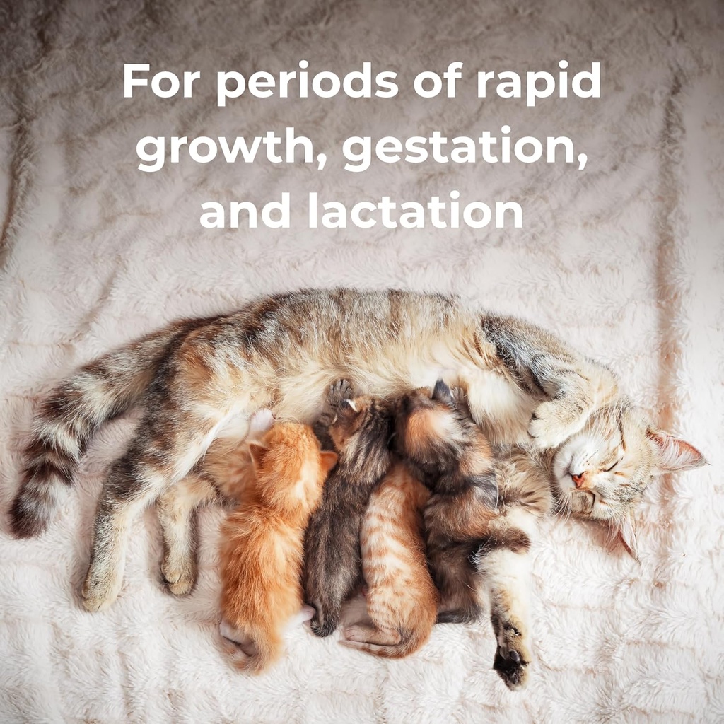 PetAg Calcium Phosphorus Tablets - 50 Tablets - Daily-Use, Chewable Supplement for Dogs & Cats 12 Weeks and Older - Fortified with Vitamin D 6