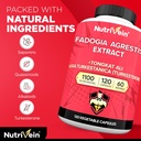 Nutrivein Premium Fadogia Agrestis and Tongkat Ali Supplement with Turkesterone - 1100 mg - 120 Caps - Synergistic Blend for Performance, Strength, & Recovery for Men & Women of All Ages 4