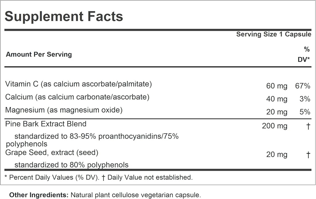 ANDREW LESSMAN Pine Bark OPC Anti-Oxidant Extracts 60 Capsules - Supports Tissues and Organ Systems to Neutralize Damaging Free-Radicals, Proanthocyanidins, Powerful Anti-oxidant, No Additives 3