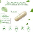 Organic Sea Moss Capsules with Bladderwrack,Burdock Root and Black Pepper Extract-Irish SeaMoss Pills 2000mg-Promotes Immune System,Thyroid Support(120 Capsules) 3