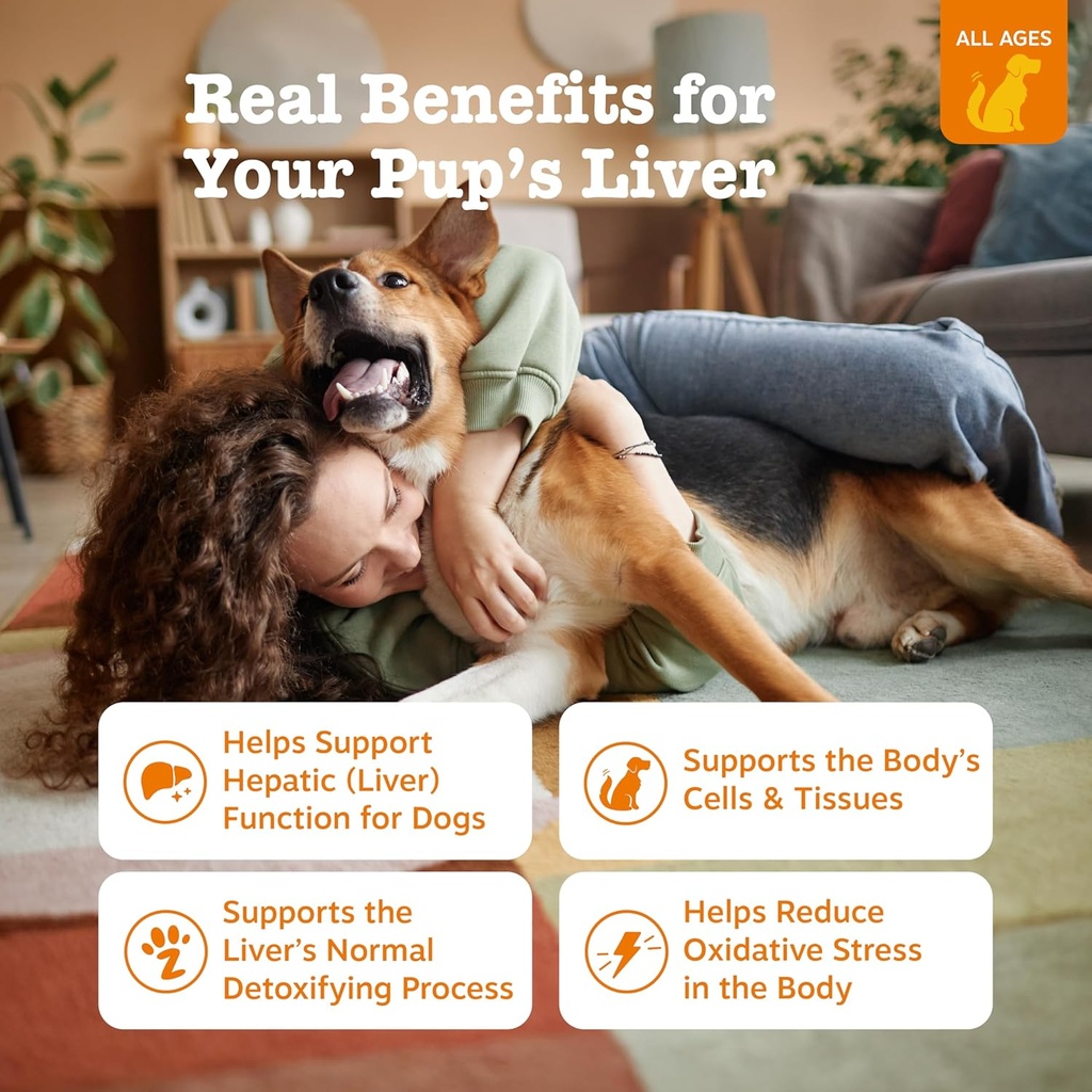Zesty Paws Liver Support Supplement for Dogs - with Milk Thistle Extract, Turmeric Curcumin, Choline - Soft Chew Formula - for Dog Liver Function 3