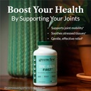 Greens First Joint Health First - Natural Joint Support Supplement with MSM, Turmeric, Ashwagandha, & Ginger - for Joint Support - Non-GMO/Dairy-Free/Gluten-Free (120 Softgels) 4