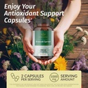 HERBAMAMA Brain Support & Broccoli Sprout Kit - Bundle of 1400 mg Brain Support Complex &1000 mg Broccoli Sprout Capsules - Vegan, Non-GMO, Gelatin-Free - 2 Pack 4