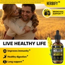 HERBIFY Bundle - Mullein Leaf Extract & Vitamin D3 - Respiratory Support & Immune Boost 4
