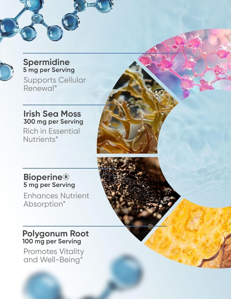 100% Natural Super Spermidine Supplements for Women and Men | 4X Ingredients to Supercharge Your Cellular Health and Hair Growth | Anti Aging Supplement Box 4