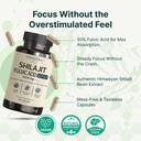 VINATURA Shilajit for Men and Women - 1000mg Pure Himalayan Shilajit Capsules, standardized to 50% Fulvic Acid - 60 Capsules 5