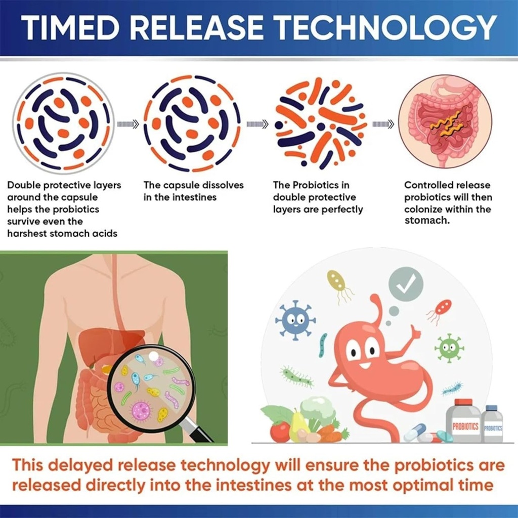 Probiotics 100 Billion CFU – 34 Strains + Organic Prebiotics – Whole Food Formula for Gut Health, Immune Support & Digestive Balance – 60 Day Supply, 120 Softgels 2