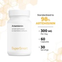 Supersmart - Artemisinin 300 mg Per Day - Artemisia Annua Standardized to 98% Artemisinin - Boost Immune System | Non-GMO & Gluten Free - 60 Vegetarian Capsules 6