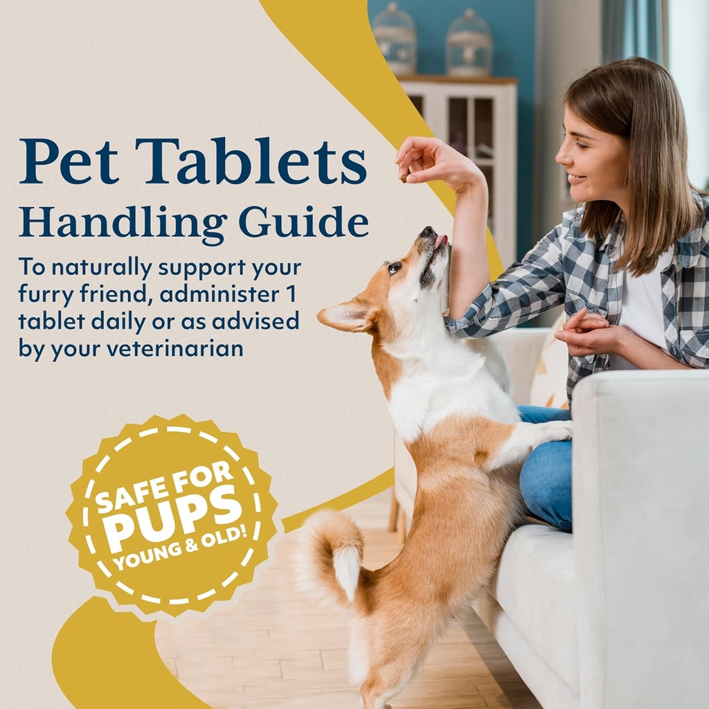 Ayush Pet Livit-2 - Dog Liver Support Supplement, Natural Liver Support for Cats, Dogs & Horses, Supports Overall Wellness, Healthy Skin and Coat for Pets - 90 Tablets 6