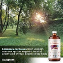 LIQUIDHEALTH Liquid Multivitamin for Kids Children and B Complex Liquid Super Energy Boost B Vitamins Supplements 6