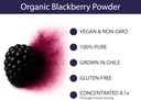KOYAH - Organic BlackBerry Powder: 30 Servings (1 Scoop = 1/4 Cup Fresh): Freeze-Dried, Whole-Berry Powder, Raw 5