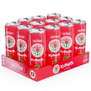 MITRA9 Botanical Beverages - Strawberry Watermelon Sparkling Kava Drink With Kava Root Extract - Mood Enhancer - Plant Based - Promotes Natural Calm & Clarity (12 Fl. Oz) (4) 5