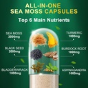 Sea Moss Black Seed Oil Capsules - Supplements with Seamoss, Ashwagandha, Burdock Root, Ginger & Multimineral for Immune & Digestive Support, Improve Energy for Men & Women - 60 Capsules 3