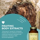 HEALTHFORCE SUPERFOODS MycoForce - Capsules - 120 Vegan Capsules 6