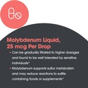 Allergy Research Group Liquid Molybdenum Supplement - Sulfur Metabolism Support, Detox, Uric Acid, Trace Minerals, 25mcg Liquid Drops - 1 Fl Oz 6