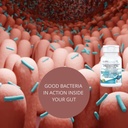 KAPPA NUTRITION Probiotic 60 Billion CFU 14 in 1 Formula with Prebiotics & Acidophilus for Women, Men & Adults, Shelf Stable, Acid Resistant, Natural Supplement 60 Capsules. 6