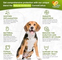 Canis&Cattus Natural Antibiotic for Dogs & Cats – Liquid Pets Antibiotic – Supports Immunity, Reduces Inflammation, Controls Parasites, and Boosts Urinary Health – 2 oz 3