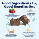 Solid Gold Cranberry Supplement for Dogs & Cats for Urinary Tract Health - Berry Balance Chews UTI + Bladder + Kidney Support for Cats and Dogs with Antioxidants 6