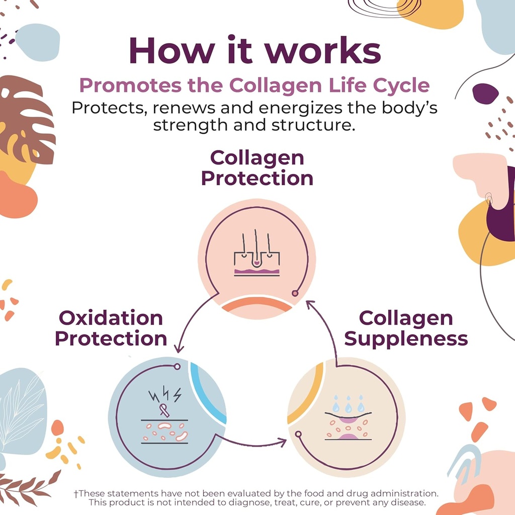 Body Kitchen Youthful Beauty Advanced, Collagen Peptides Powder for Beautiful Hair Skin Nails, Resveratrol and Hyaluronic Acid for Anti-Aging & Antioxidant Support, Grass Fed (Pack of 2) 4