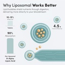 Aurora Nutrascience Mega-Liposomal R-ALA Cellular Support Complex, 200mg R-Alpha Lipoic Acid, Gluten Free, Non-GMO, Sugar Free, Organic, Fruit Flavor, 32 Servings, 16 fl oz 4