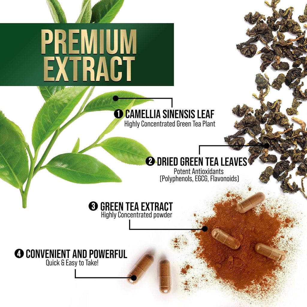 Green Tea Extract Capsules 1000mg 98% Standardized EGCG - 3X Strength for Natural Energy - Heart Support with Polyphenols - Gentle Caffeine - 120 Capsules 6