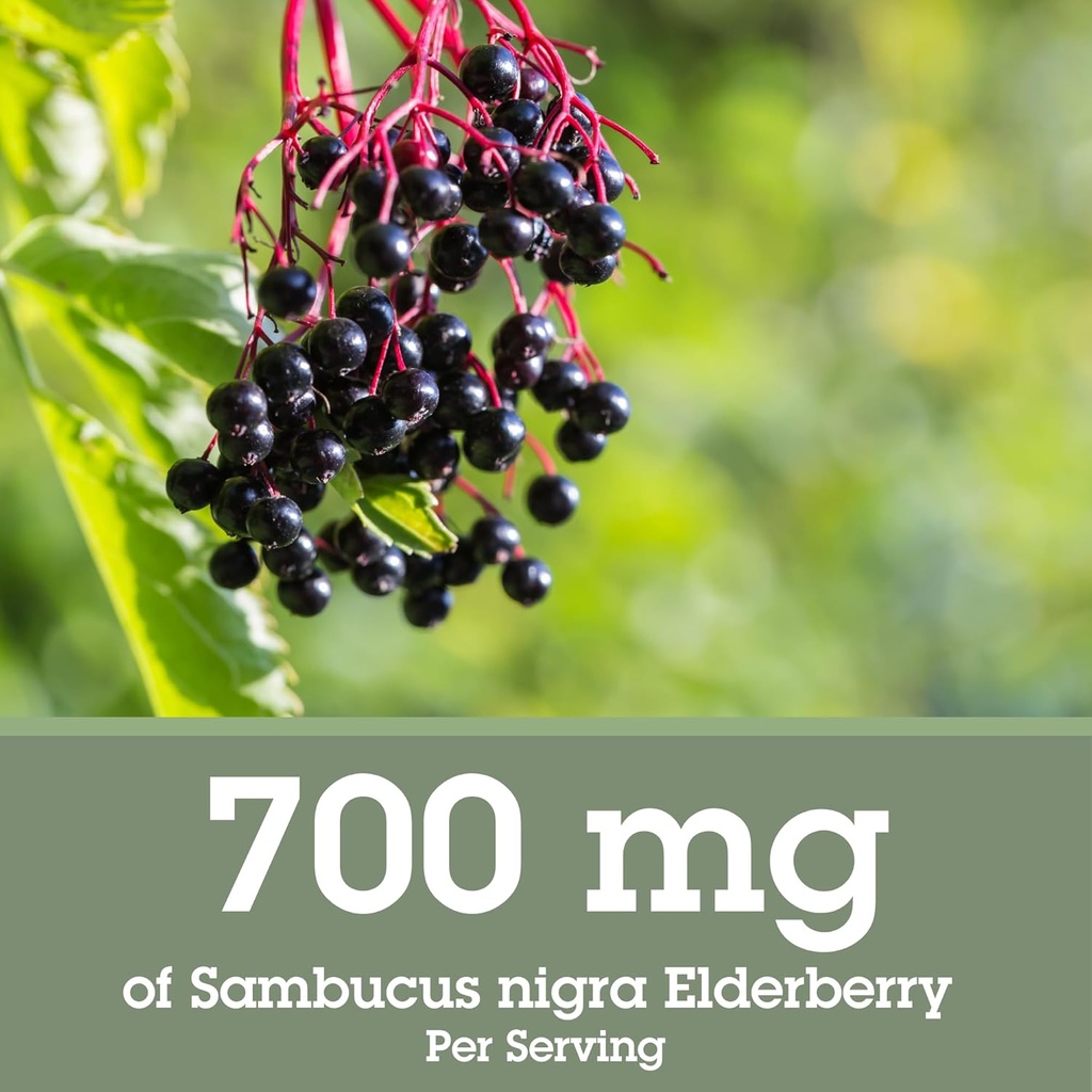 Quantum Health Black Elderberry Liquid Extract Sambucus Nigra Immune Support Formula 700mg - Daily Wellness Boost of Potent Antioxidants for Women & Men - High Dose, Fast Absorption, Vegan - 2 Fl Oz 4