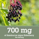 Quantum Health Black Elderberry Liquid Extract Sambucus Nigra Immune Support Formula 700mg - Daily Wellness Boost of Potent Antioxidants for Women & Men - High Dose, Fast Absorption, Vegan - 2 Fl Oz 4
